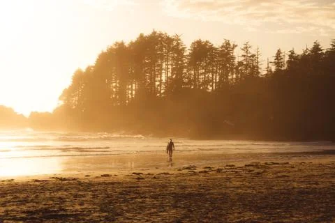 Man with surf walking on the the beach with forest behind while sunset Stock Photos