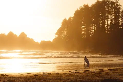 Man with surf walking on the the beach with forest behind while sunset Stock Photos