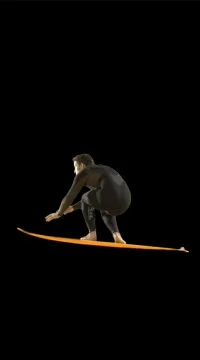 Man on surfboard. Stock Footage 79525