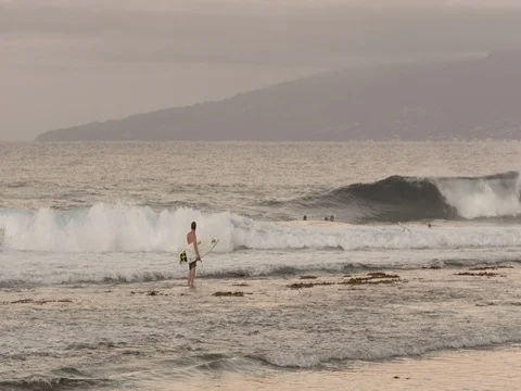 Man With Surfboard Standing On Shore at Sunset Stock Footage 79735955