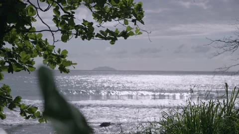 Man surfing at Empty beach in Rincon Puerto Rico Stock Footage 157400080