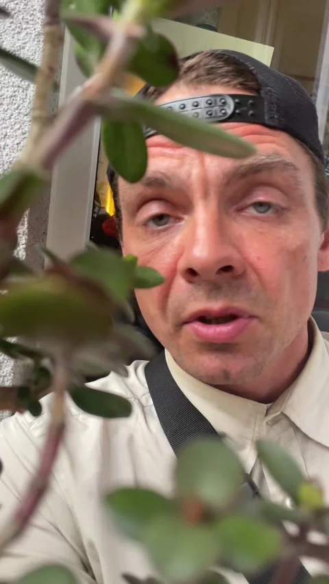 Man surprised expression behind houseplant closeup vertical indoor daylight Видео 344585561