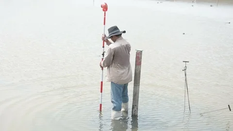 Man survey boundary of area Stock Footage 89642279