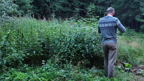 Man in sweater with back to camera drinking coffee in green forest Stock Footage 344893558