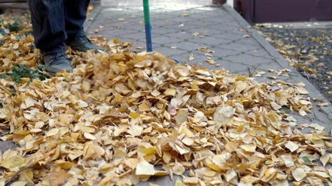A man is sweeping a path from fallen leaves in his yard. Autumn in the Russian Stock Footage 141470094
