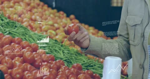 Man sweeping tomatoes and checking produce quality in market, data overlays Stock Footage 328330942