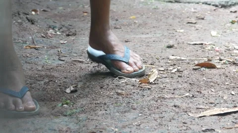 A man sweeping a yard full of fallen dry leaves Stock Footage 312904668