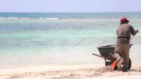 Man sweeps the beach Stock Footage 45451221