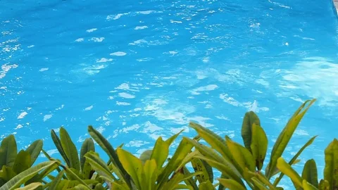 A man swim in the pool at the hotel. Stock Footage 122768321
