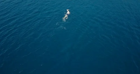 Man swimming away with front crawl in the open sea Stock Footage 107943731