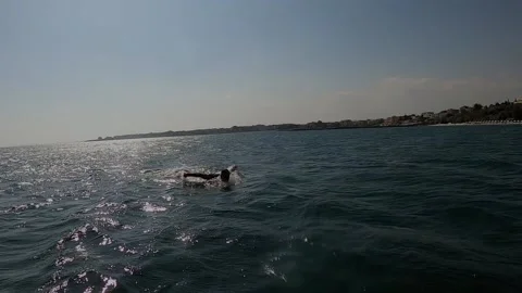 Man swimming butterfly Stock Footage 148513877