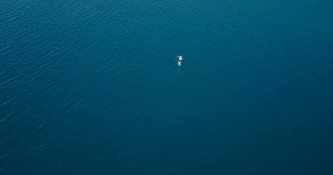 Man swimming forward crawl in the open sea Stock Footage 107942836
