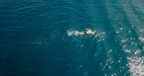 Man swimming forward crawl in the open blue sea Stock Footage 107956316