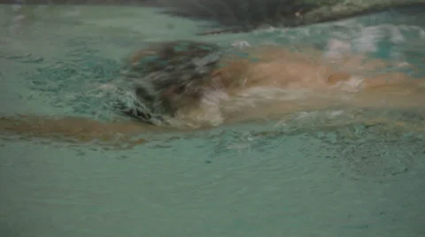 Man swimming a lap in an olympic pool  (HD) Stock Footage 37440059