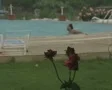 Man swimming in pool in rain SD Footage