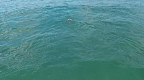 Man swimming in sea water, open water swiming Stock Footage