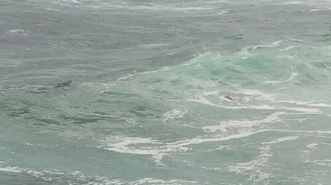 Man swimming in Surf Stock Footage 52358645