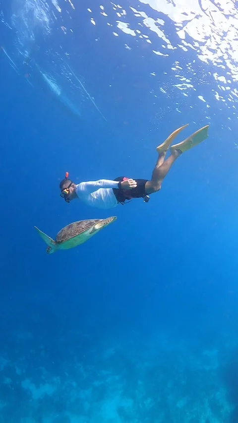 Man swimming with turtle. Man diving in Gili Islands with turtle Stock Footage 294655136