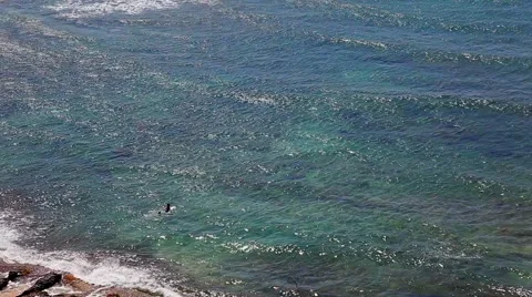 Man swims in the ocean in the distance Stock-Footage 43858433
