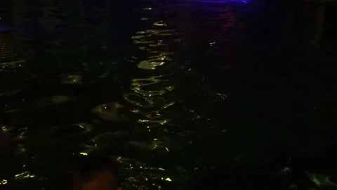 A man swims in the pool in the evening Stock Footage 91704208