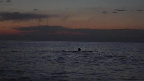 A man swims at sunset Stock Footage 95313224