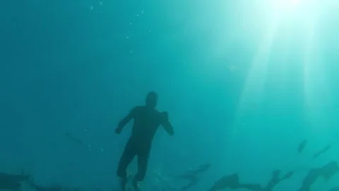 A man swims on the surface and then dives into the depths of the sea. Under.. Stock Footage 274214901