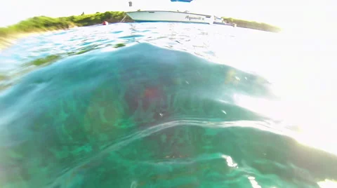 Man swims with turtles Stock Footage 42710773