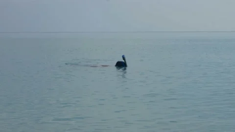 A man swims under the water with a diving mask and shoots video on the phone Stock Footage 90368775
