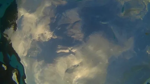 A man swims under water Stock Footage 123745746
