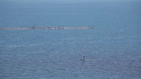 Man swims on windsurfing Stock-Footage 81184535