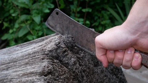 Man swings a cleaver into old tree log Vídeos de archivo 113790223
