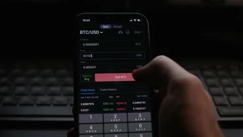 Man take ask bitcoin in the phone application Stock-Footage 229503099