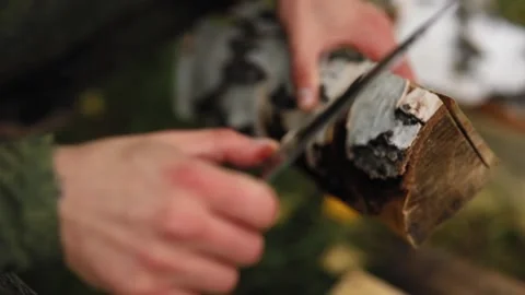 Man takes birch bark from a log Video stock 93539064