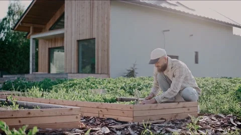 Man takes care of his vegetable beds in the backyard on a sunny day Video stock 199870859