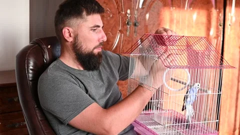A man takes care of a pet parrot, attaches parrot accessories to the cage. Stock Footage 282909714