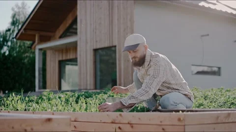 Man takes care of young vegetable beds in the backyard on a sunny day Video stock 199870355