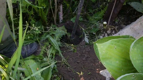 The man takes the drill out of the hole, he shakes it off the ground. Closeup, o Stock Footage 83000476