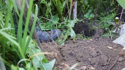 The man takes the drill out of the hole, he shakes it off the ground. Closeup, b Stock Footage 83000533