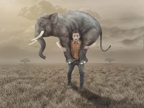 Man takes an elephant back Stock Photos