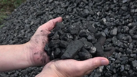 Man takes in hands charcoal anthracite Stock Footage 94200652