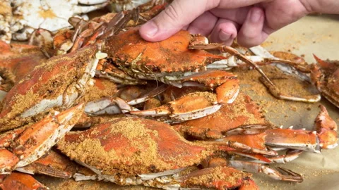 Man takes a hot steamed crab from pile 動画素材 344906247