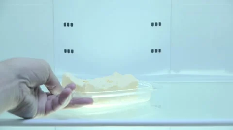 The man takes out of an empty fridge butter, poverty, single, close-up Stock Footage 67717687