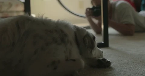 Man takes picture with digital camera at home Stock Footage 78037880