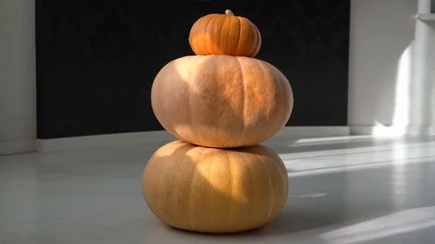 Man takes pumpkins one by one 库存影片 119071600