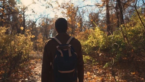 Man takes a stroll in forest. Stock Footage 100235160