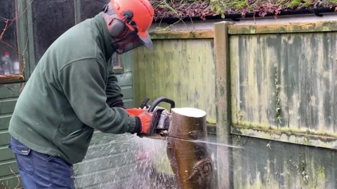Man takes tree down with a chainsaw, England Video stock 264772052
