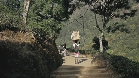 Man taking the cargo and backpacks up to the mountan,Bagage packer Sri Lanka Stock Footage 73288813