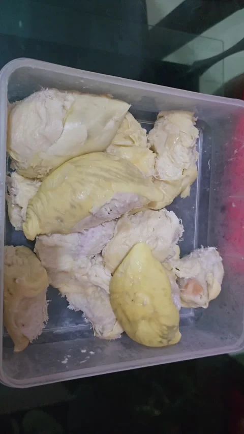 A Man taking Durians Fruit from box and eat it Stock Footage 306584293