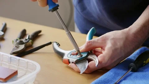 Man taking a garden clipper apart to sharpen it with a whetstone Stock Footage 84177429