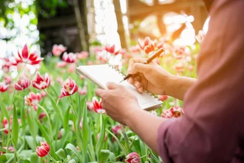 Man taking notes in a white flower garden Stock Photos